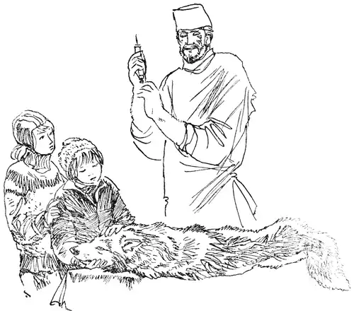 �����.