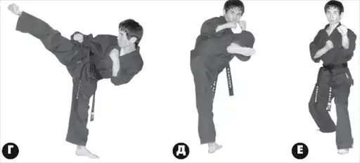 ������ ����������.
