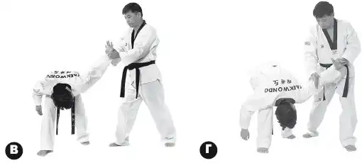 ������ ����������.