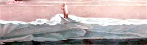 ���� � �������� �������.