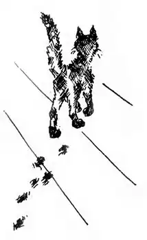 ���� �� ����� [1970].