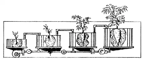 ���� �� ����� [1970].
