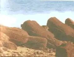 �������� �������.