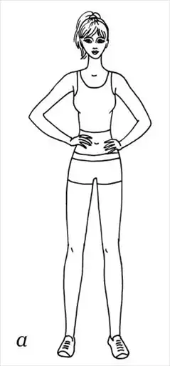 ����������. ������� ������������.