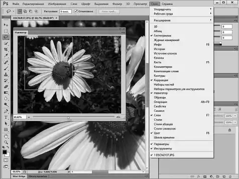 Photoshop ��� ����������.