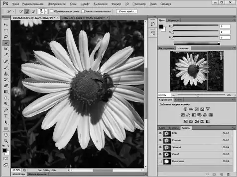Photoshop ��� ����������.