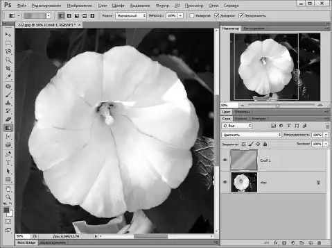 Photoshop ��� ����������.