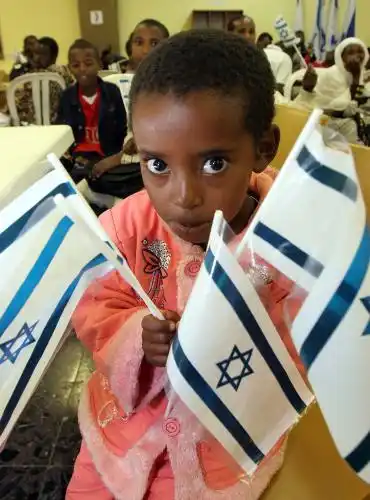 ����. ������. ���������.