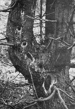 ������� �� �������.