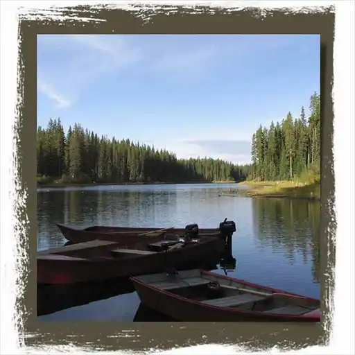 � ������ ������ ����������� ��������.
