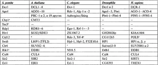 �����������.