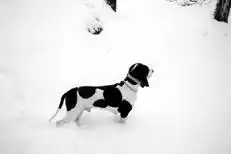������.