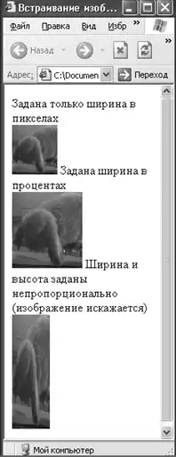 HTML, XHTML � CSS �� ��� ���������.