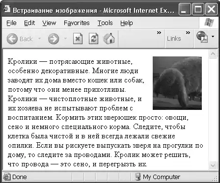 HTML, XHTML � CSS �� ��� ���������.