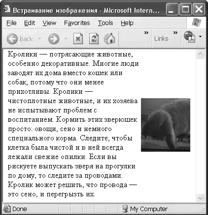 HTML, XHTML � CSS �� ��� ���������.