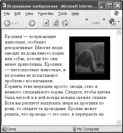 HTML, XHTML � CSS �� ��� ���������.