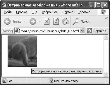 HTML, XHTML � CSS �� ��� ���������.