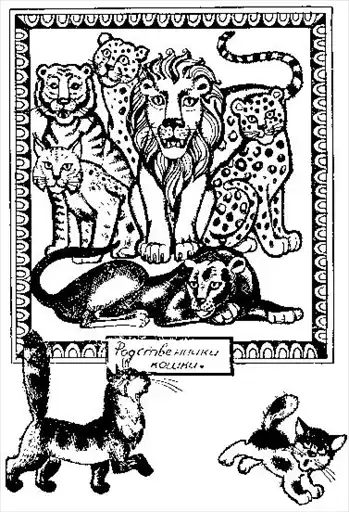 Кошки.