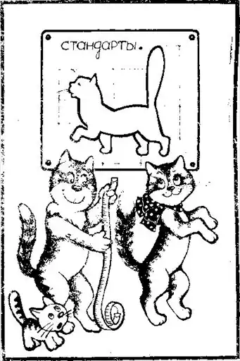 Кошки.