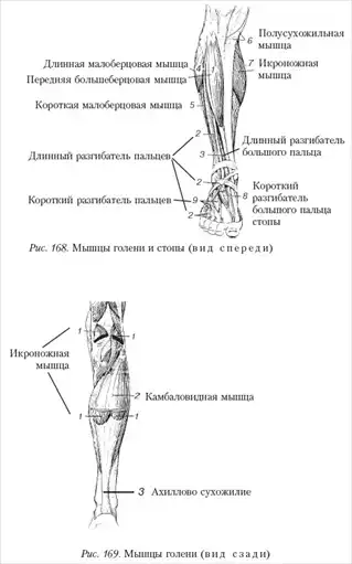 Массаж.