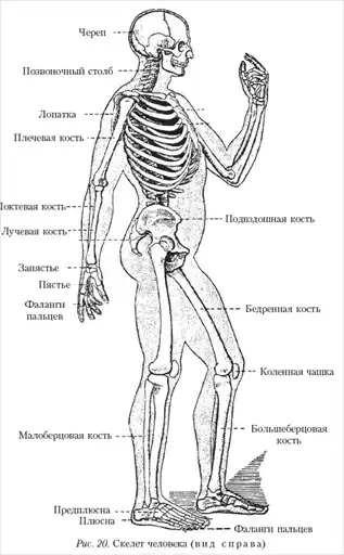 Массаж.