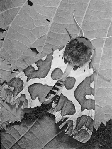 �� ������ �������.