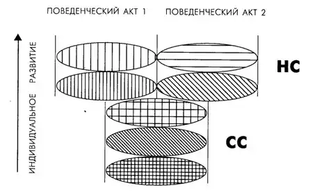 Основы психофизиологии - Александров Ю.И. (ред.).