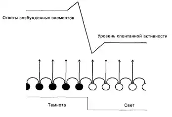 Основы психофизиологии - Александров Ю.И. (ред.).
