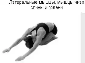 ��������� ����.