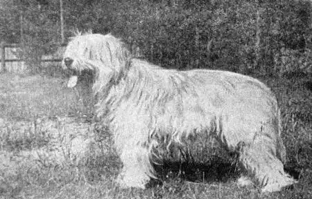 ���������-��������.