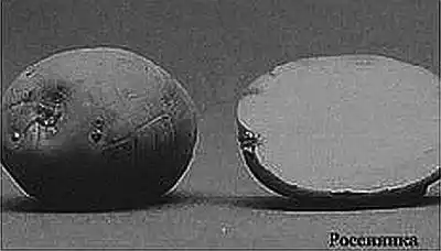 ��������� ����������. ���������� �����������.