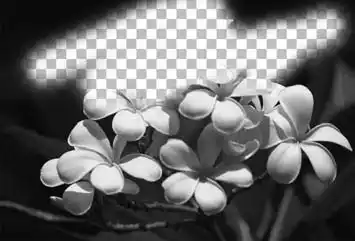 ������� �� �Adobe Photoshop�.