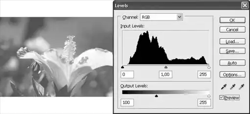 ������� �� �Adobe Photoshop�.