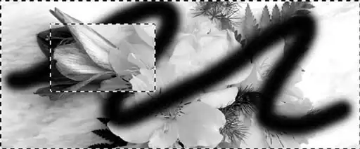 ������� �� �Adobe Photoshop�.