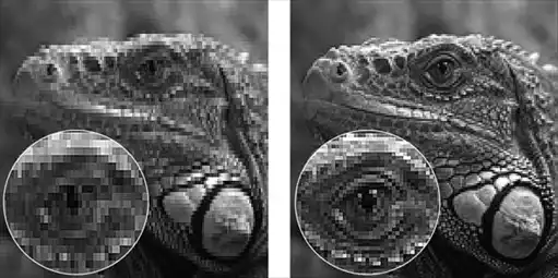 ������� �� �Adobe Photoshop�.