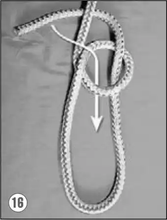 ����. ������ �� ������.