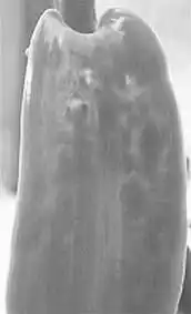 ������.