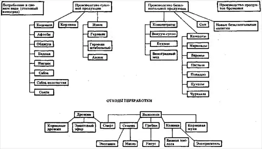 Виноградарство, под ред. К.В. Смирнова.