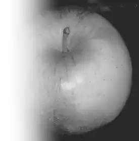 ������.