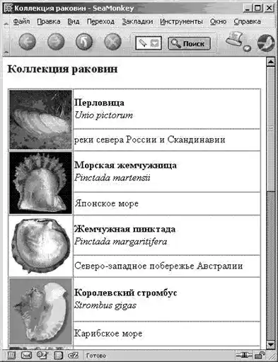 ���� ���������������� Perl.