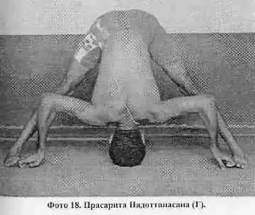 Йога-мала.