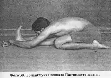 Йога-мала.