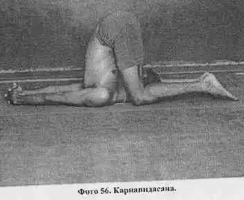 Йога-мала.