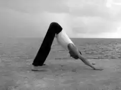 ����.
