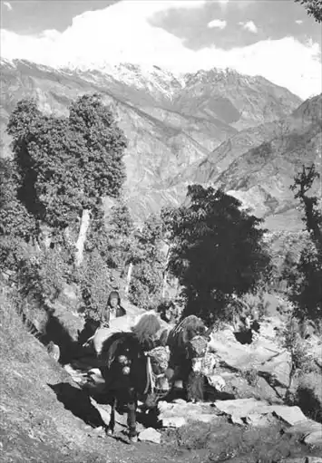 ����� �������.