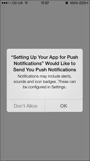 iOS. ������ ����������������.