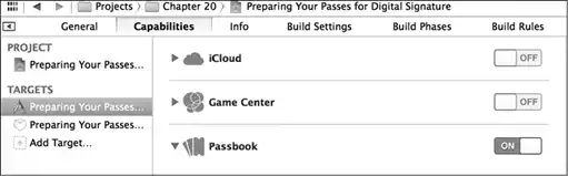 iOS. ������ ����������������.