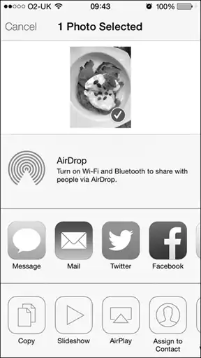 iOS. ������ ����������������.