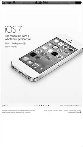 iOS. ������ ����������������.