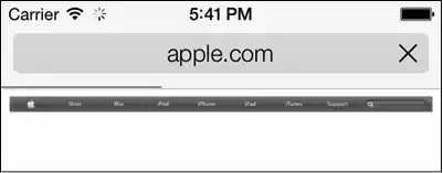 iOS. ������ ����������������.